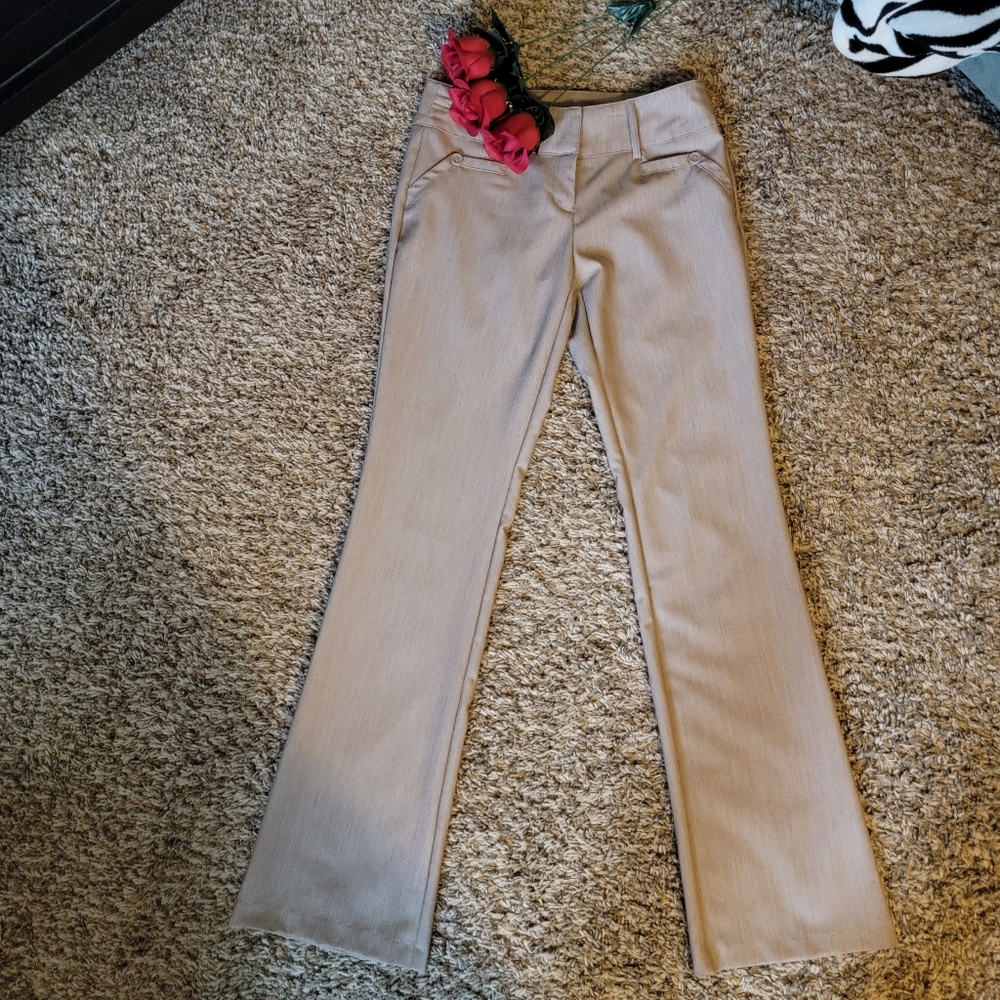 Dress pants